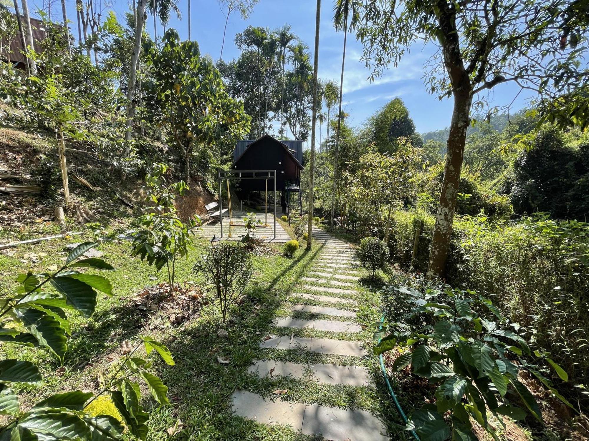 Wetlands Wayanad Pool Resort With Natural Waterfalls Padinjarathara Exterior foto