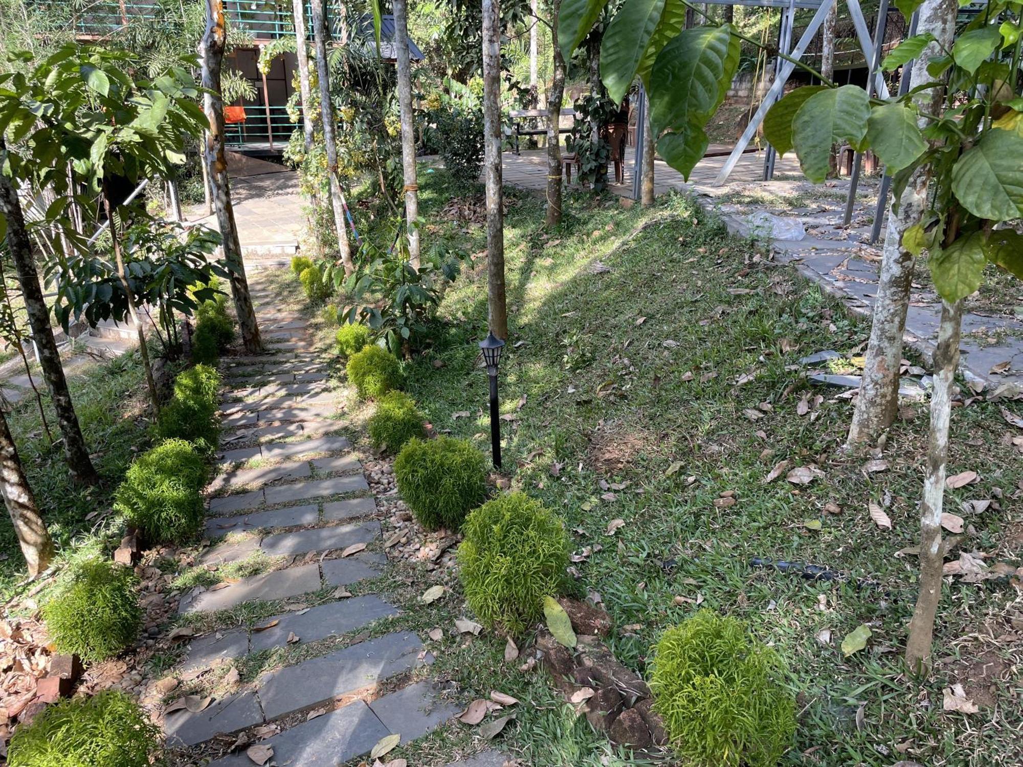 Wetlands Wayanad Pool Resort With Natural Waterfalls Padinjarathara Exterior foto
