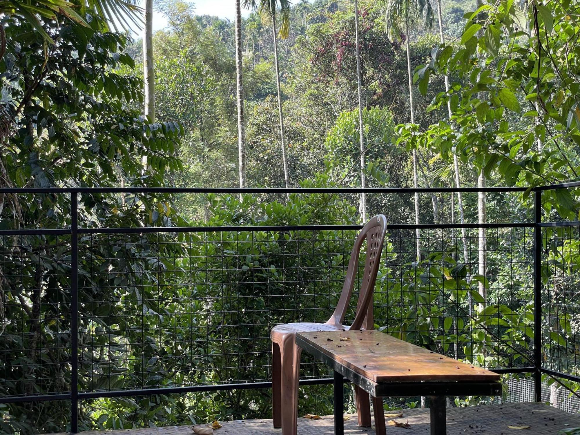 Wetlands Wayanad Pool Resort With Natural Waterfalls Padinjarathara Exterior foto